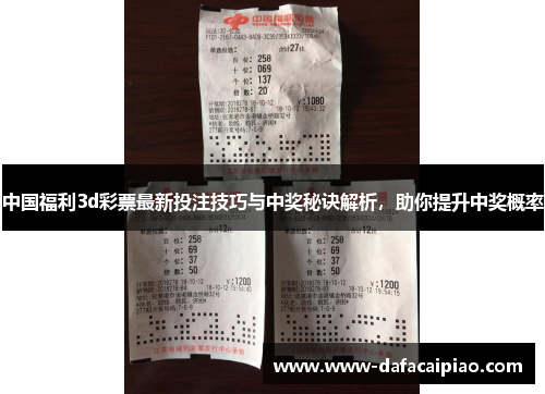 中国福利3d彩票最新投注技巧与中奖秘诀解析，助你提升中奖概率