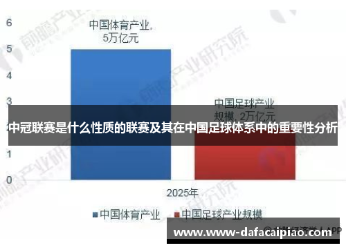 中冠联赛是什么性质的联赛及其在中国足球体系中的重要性分析